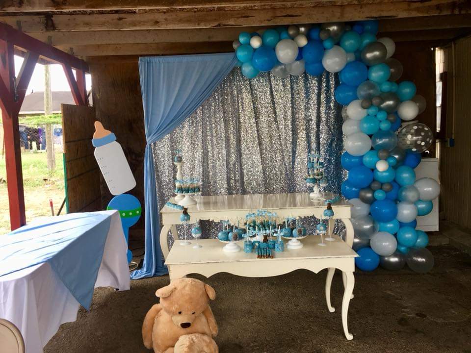 Baby Shower WB
